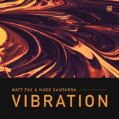 Vibration (Extended Mix) artwork