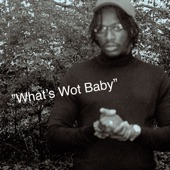 What’s Wot Baby artwork