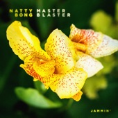 Master Blaster (Jammin') artwork