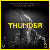 Thunder (Prezioso Festival Mix) artwork