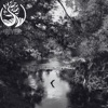 FromTheWoods - River