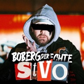 Stvo artwork