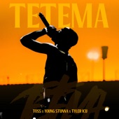 Tetema artwork