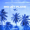 Big Jet Plane - Single