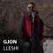 Po Qan Sulltani (feat. Gjon Lleshi) - Valon Biba lyrics