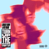 Turn Up The Bass (Pump It Up) [Extended Edit] artwork