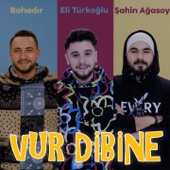 Vur Dibine (feat. Şahin Ağasoy) artwork