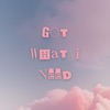 Got What I Need - Single