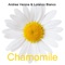 Chamomile - Andrea Verona & Lorenzo Bianco lyrics