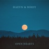 Open Hearts by HAEVN, Birdy iTunes Track 1