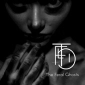 The Feral Ghosts - Joy