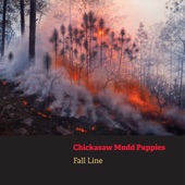 Chickasaw Mudd Puppies - Roadkill