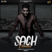 Sach Chahida artwork