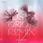 Your Love (Jordin Post & Qrion Extended Mix) artwork