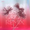 Your Love (Jordin Post & Qrion Extended Mix) artwork