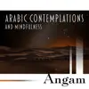 Arabic Contemplations and Mindfulness album lyrics, reviews, download