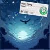 Night Flying