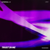 Trust in Me (Extended Mix) artwork