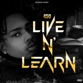 Live n' Learn artwork