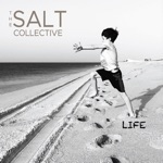 The Salt Collective - Asylum (feat. Matthew Caws & Juliana Hatfield)