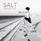 Asylum (feat. Matthew Caws & Juliana Hatfield) - The Salt Collective lyrics