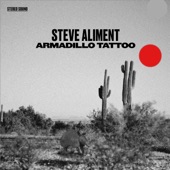 Steve Aliment - We Can Hold Out