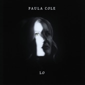 Paula Cole - Letter from a Quarry Miner
