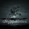 The Shadow Theorie - Single album lyrics, reviews, download