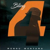 Munhu Wenyama artwork