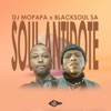 DJ Mopapa - Soul Antidote 1.0 (DJ Mopapa Mix)