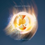 Craig Padilla - Perception Stream