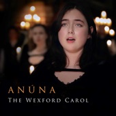 The Wexford Carol (feat. Michael McGlynn & Aisling McGlynn) artwork