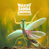Maxixe Samba Groove - Hamilton de Holanda