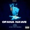 Ofana Nawe (feat. Dzo 729, STICKY & Malungelo) - Hlonivic lyrics