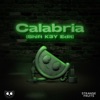 Calabria (feat. Fallen Roses, Lujavo & Lunis) [Shift K3Y Edit] - Single