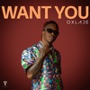 Oxlade - Want You