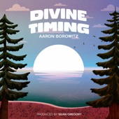 Divine Timing artwork