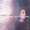 I Don't Need You Anymore - Single