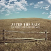 After The Rain (feat. Tenille Arts) artwork