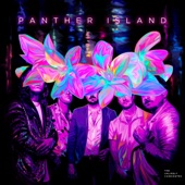 Panther Island artwork