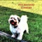 King Tony - corpus colossal lyrics