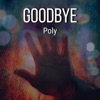 Goodbye - Single