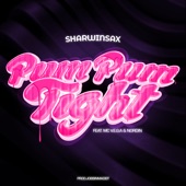 Pum Pum Tight (feat. Nordin) artwork