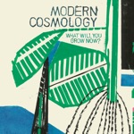 Modern Cosmology, Laetitia Sadier & Mombojó - Le Train Ne Passera Pas