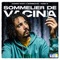 Dose 8: Sommelier de Vacina (feat. Goribeatzz) - Ramiro Mart lyrics