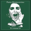 Si' Comme' Si' (feat. Pietra Montecorvino) - Single