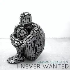 I Never Wanted (Radio Edit) - Single by Shawn Sebastien album reviews, ratings, credits