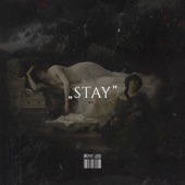 Stay artwork