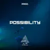 Possibility (Boom Bap Instrumental) - Single album lyrics, reviews, download