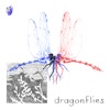 dragonflies - Single